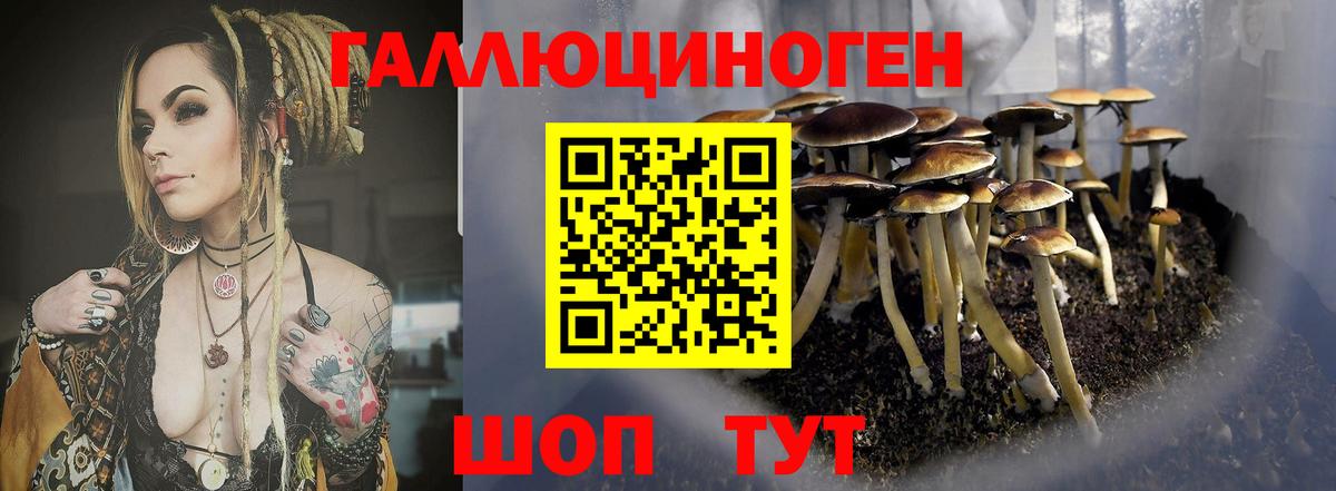 Галлюциногенные грибы Psilocybine cubensis  Галлюциногенные грибы мухоморы  Богородицк  Вход с VPN 